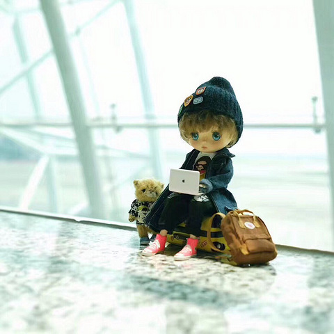 教你做|瓜子素微缩手作网络课程第一弹!