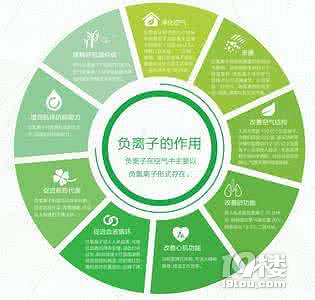 负离子是什么有什么作用 孩爸孩妈聊天室 杭州19楼手机版