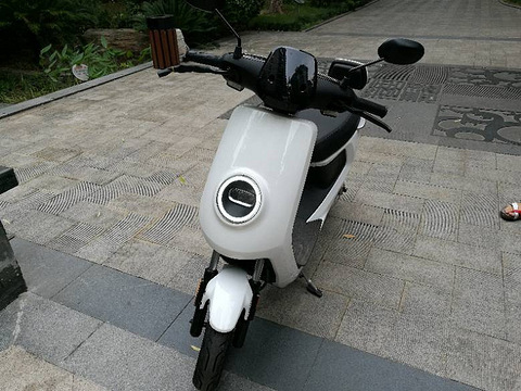 杭州小牛二手电动车出售,杭州自提