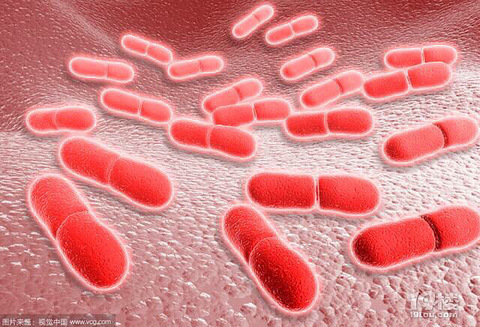 杭州一孕妇感染李斯特菌致死胎 冰箱杀手