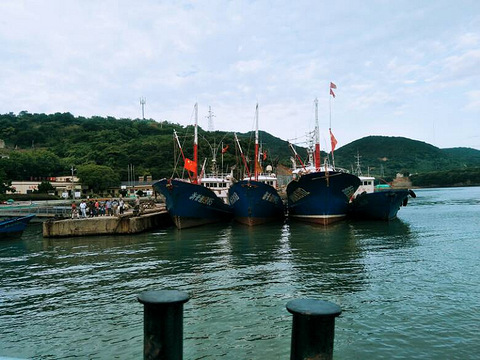 舟山六横悬山岛马跳头漂流木之家原