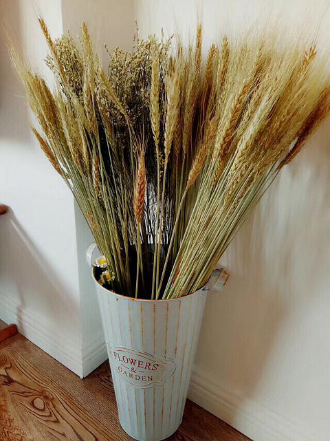 相信缘分,该来的一定会来