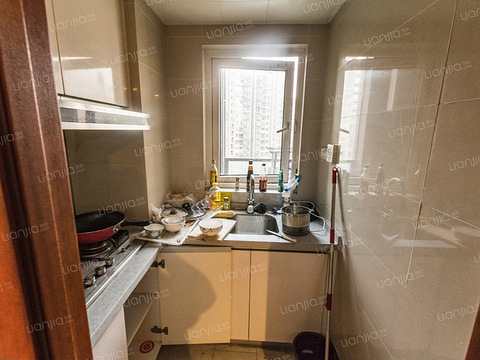 金地自在城出租单身公寓,房东本人_19楼手机版