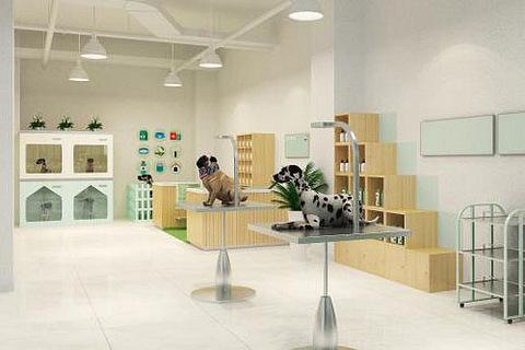 开轻宠物店常规的促销方式