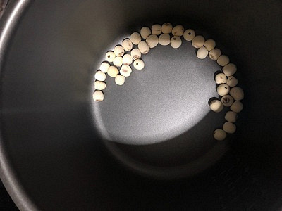 燕窝好吃吗?雪蛤和燕窝哪个比较好?