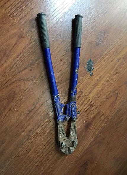 杭州狗王偷狗杀狗被抓,狗狗见了此人都乖乖不