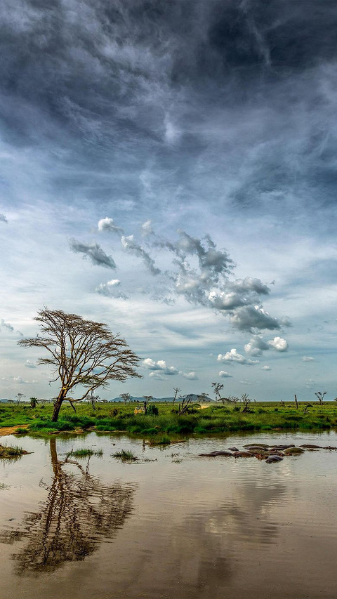 天地不过是万物逆旅,光阴送走百代过客,浮