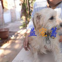 益宠筹:法阿姨走投无路 急需帮助 爱心接力