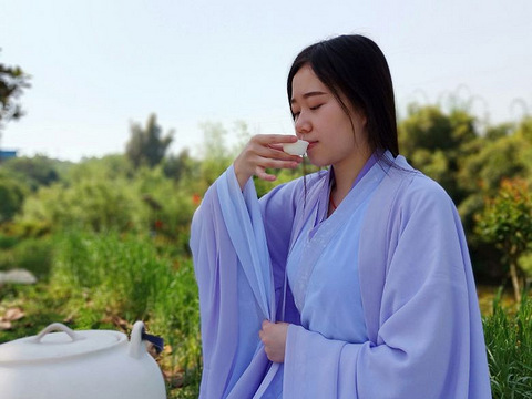 总将少女拟绿茶,古典小姐姐与绿茶的美照