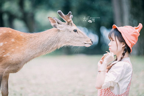 八月底到九月初 六天五晚 找几个旅行达人一起