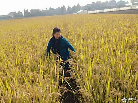 如果还有爱情,余生请你陪我一起走完