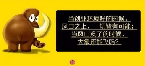 樊登读书会关于创业的书 看完这本保证你回味