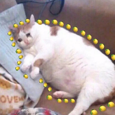 不知道为了什么,嫉妒它围绕着我.