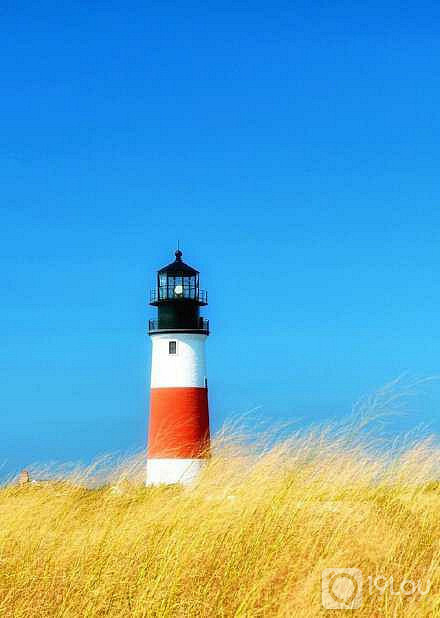 论道德(陈果教授人生哲学课)