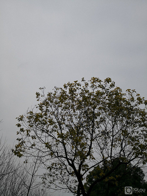 没有太阳没关系,不下雨就是好天气(?▽?)