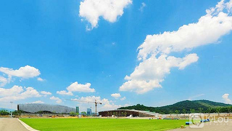 浙音附中招生人数2019