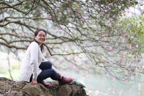 植物园的冬绿 人像派 19摄区 杭州19楼手机版