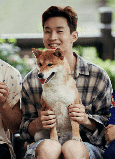 刘宪华教张艺兴编曲,于晓光为张靓颖写歌,明星