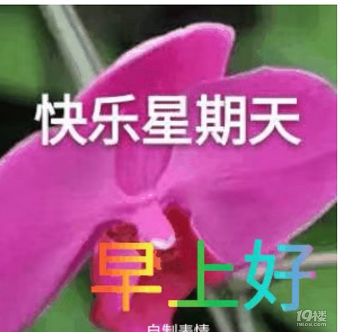 星期天快乐 幼儿园论坛 杭州19楼手机版