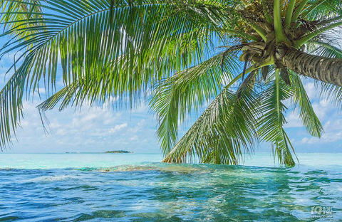 疫情过去后 一定要去马尔代夫