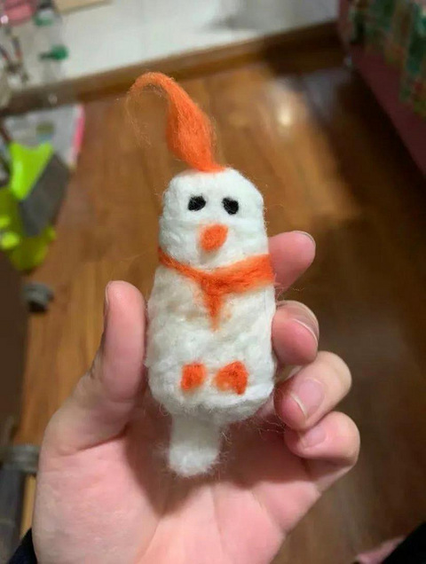 羊毛毡买家秀翻车大赏!看完差点给我笑吐了!