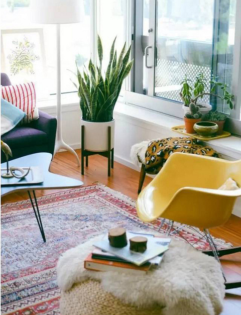 史上最全的吸毒植物 · 新房必备