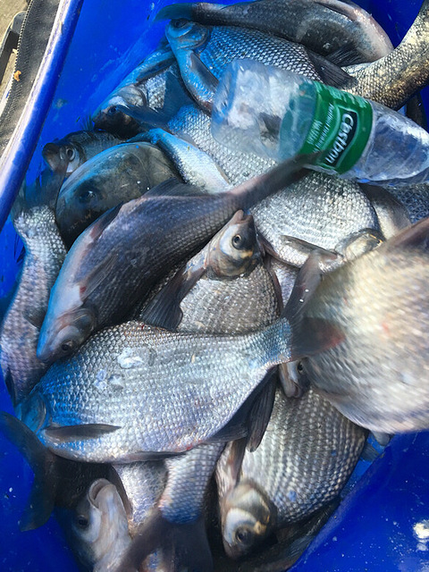 我不是神经病 我是疯子