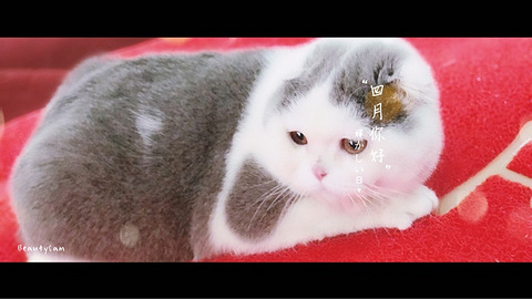 明天一早出发浙西天池风景区啦…