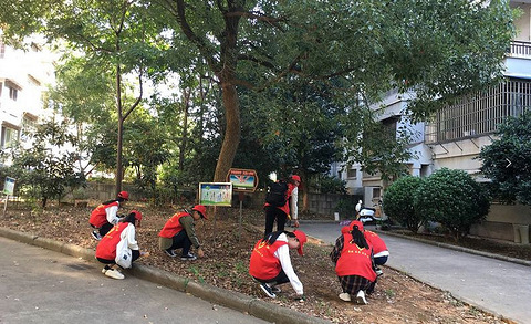 发聘书!242名学生任职社区居委会,万名青年志