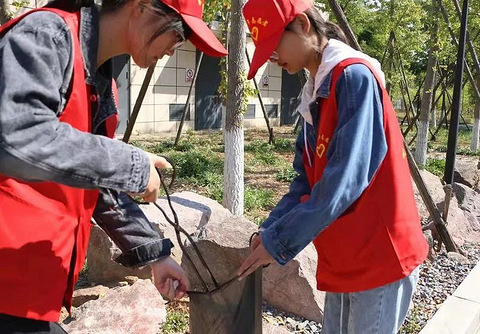 发聘书!242名学生任职社区居委会,万名青年志