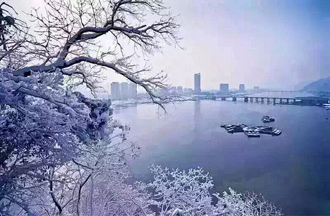 临安中通速递有限公司招客服3名,操作工兼