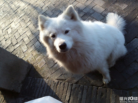 2012年度最后之旅 --西塘