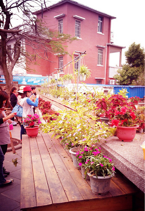 几月份去泰国最合适?