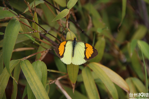 云南之旅 想去云南的要进来看看哦 想逃票?往