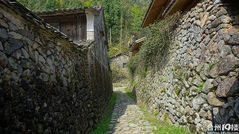 【出游推荐】清明小长假去哪里踏春?台州这些