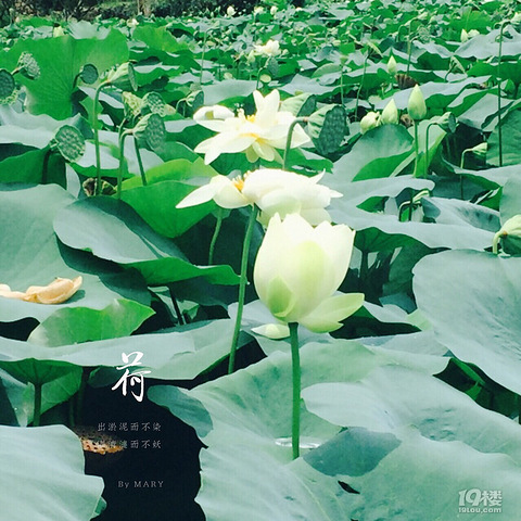 【旅游日记】台风天也要出去浪~