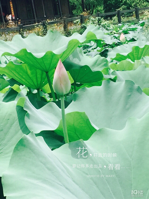 【旅游日记】台风天也要出去浪~