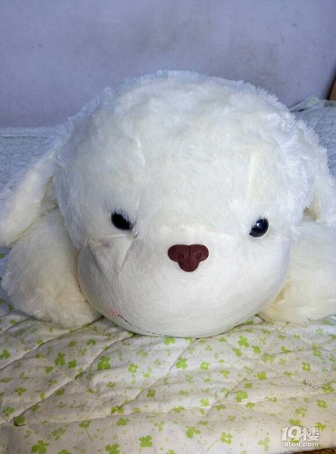 我的那个她,你在哪里呀。?