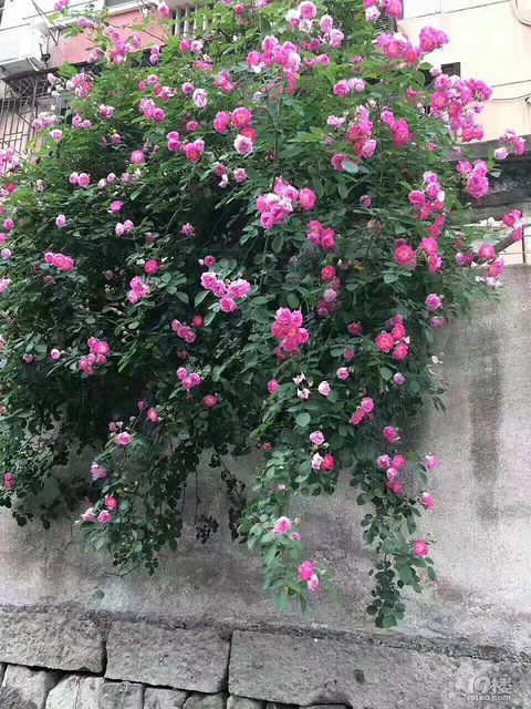 错过了就是错过了