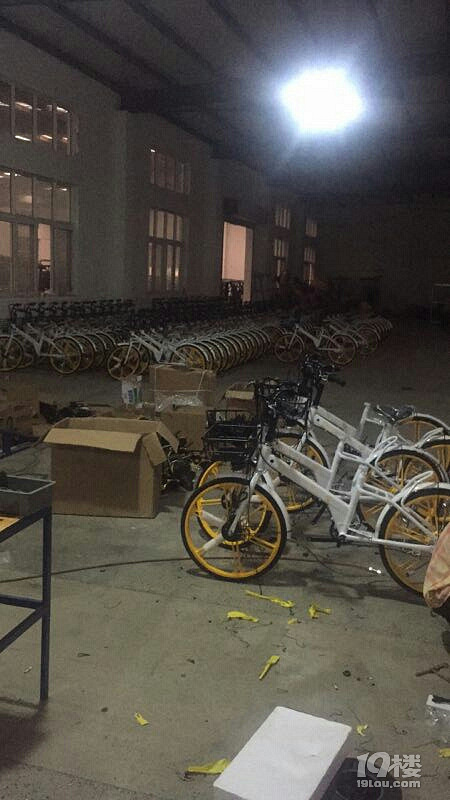 国标小蜜共享电动车,马上就要来到台州椒江开