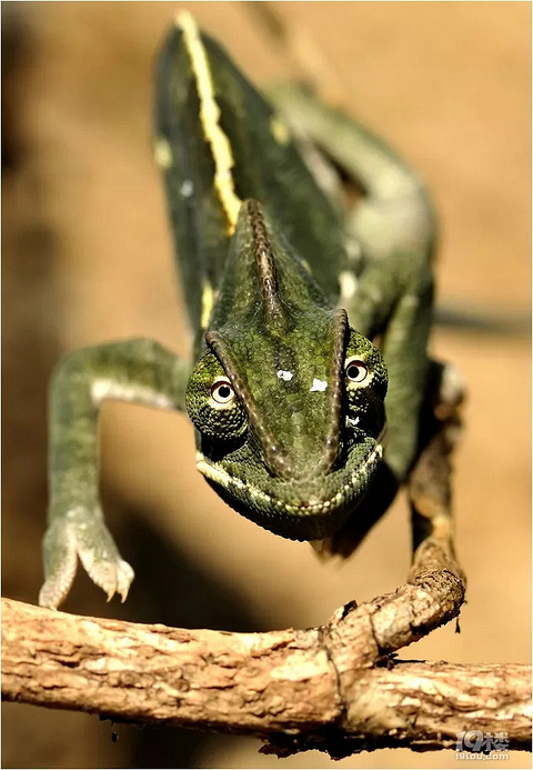 19楼怎么都是赌博输钱的人,有没有赌博赢钱的