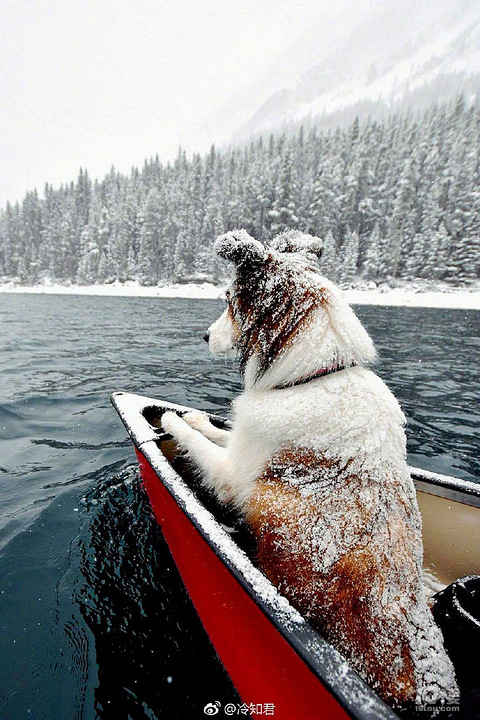 【求助】有谁知道椒江七号码头去温岭的车是到