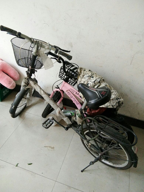 100元以下二手自行车有卖吗?