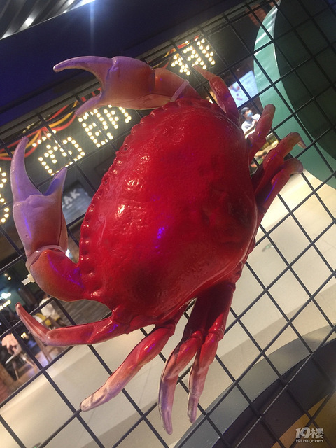 本来想吃海底捞,排号排到200号,那就换吃牛蛙