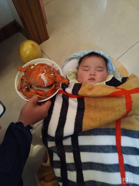 鱼虾蟹给宝宝开荤了,做第一个吃螃蟹的人