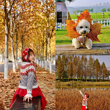 ����������ͩ�����̫���ˣ��������Ķ��ÿ�