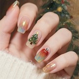 ���з�Χ�е�ʥ������