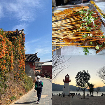 ���ٴ����Լ�������֦��������������ʳ��