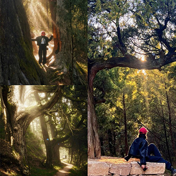 ͽ����Ԫ���������������ͽ���컨��