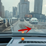 ���ֱ����ǿ��Ա����